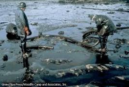 Assassins Planétaires et Guerre