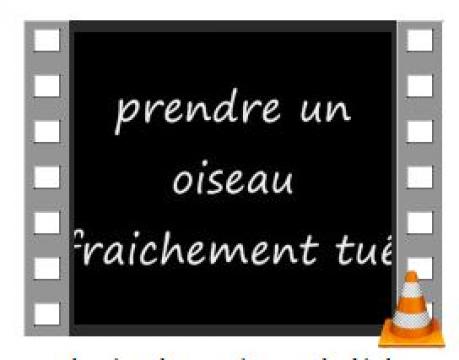 Rituel-puissant-de-magie-Noire – vidéo sur un rituel réel