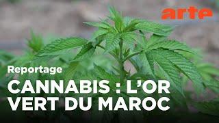 Révélations Secret